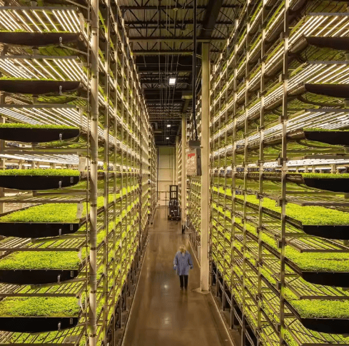 Agricultural Vertical Zipper Hydroponic Greenhouses