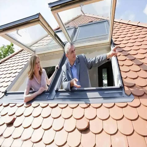 Roof Skylight Window