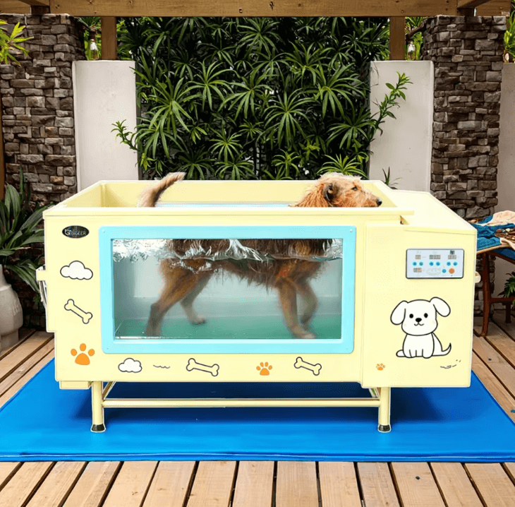 Underwater Treadmill for Dogs